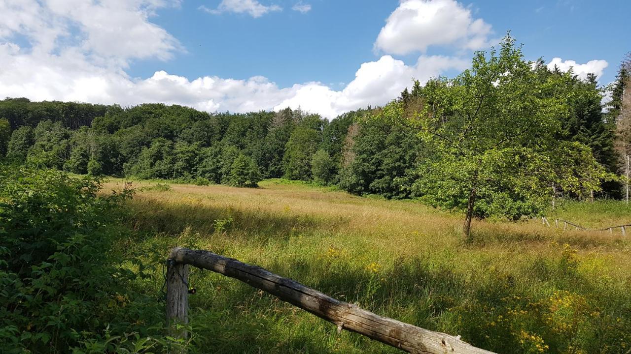 Schoener Weitblick Bad Sachsa Buitenkant foto