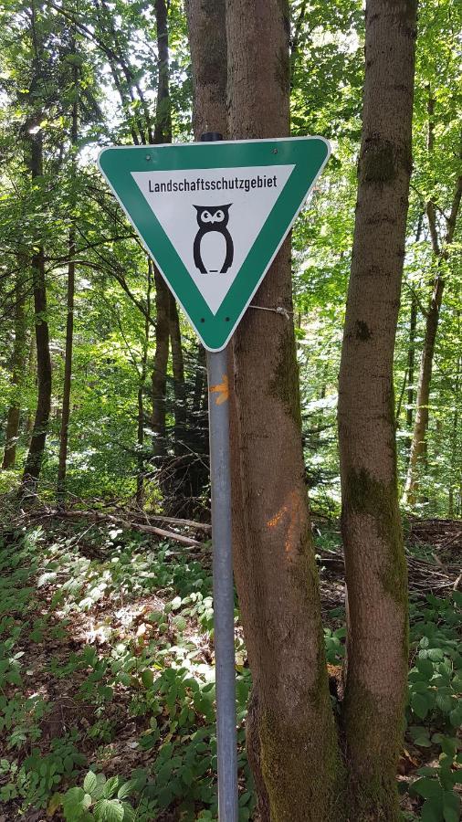 Schoener Weitblick Bad Sachsa Buitenkant foto