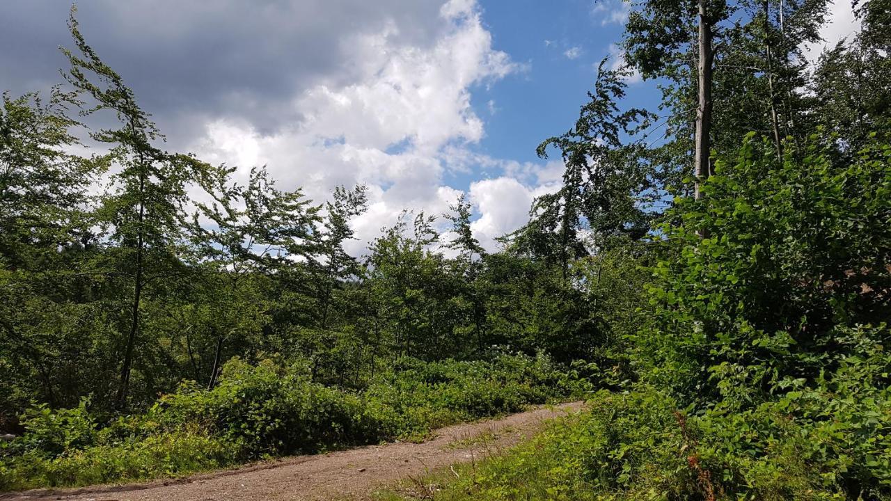 Schoener Weitblick Bad Sachsa Buitenkant foto