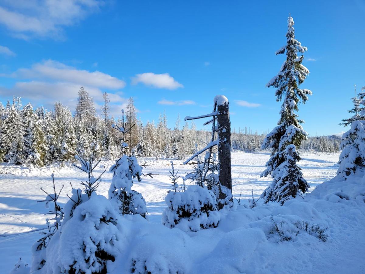Schoener Weitblick Bad Sachsa Buitenkant foto