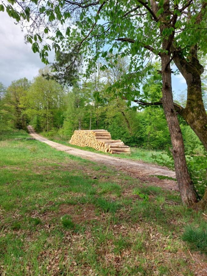 Schoener Weitblick Bad Sachsa Buitenkant foto